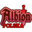Poradniki Albion Online. Sety PvP PvE