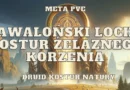 set druida iron root kostur zelaznego korzenia awalonski loch meta pve set
